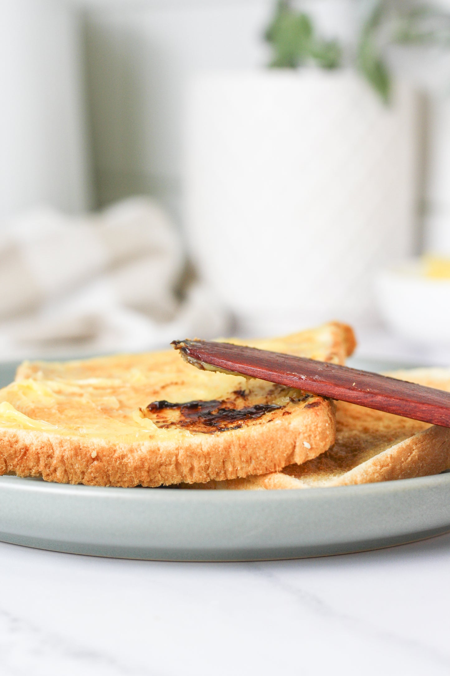 Butter spreader/ Jarrah