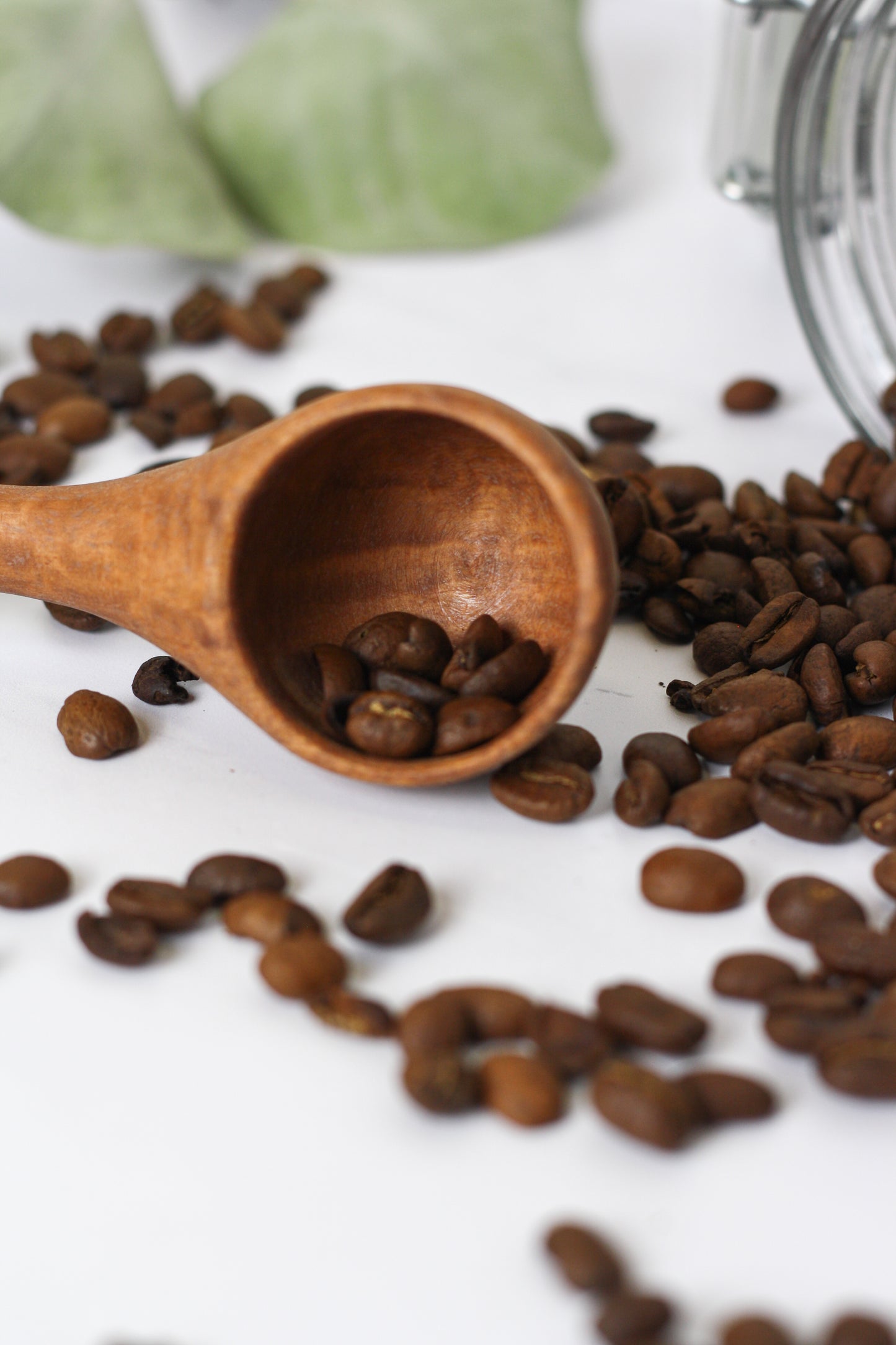 Coffee Scoop- Blackbutt wood